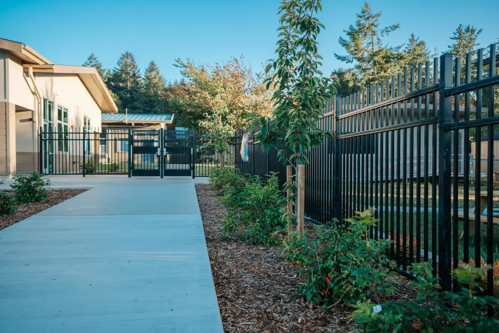 A steel fence along a planted walkway built by Deep Roots in Humboldt County