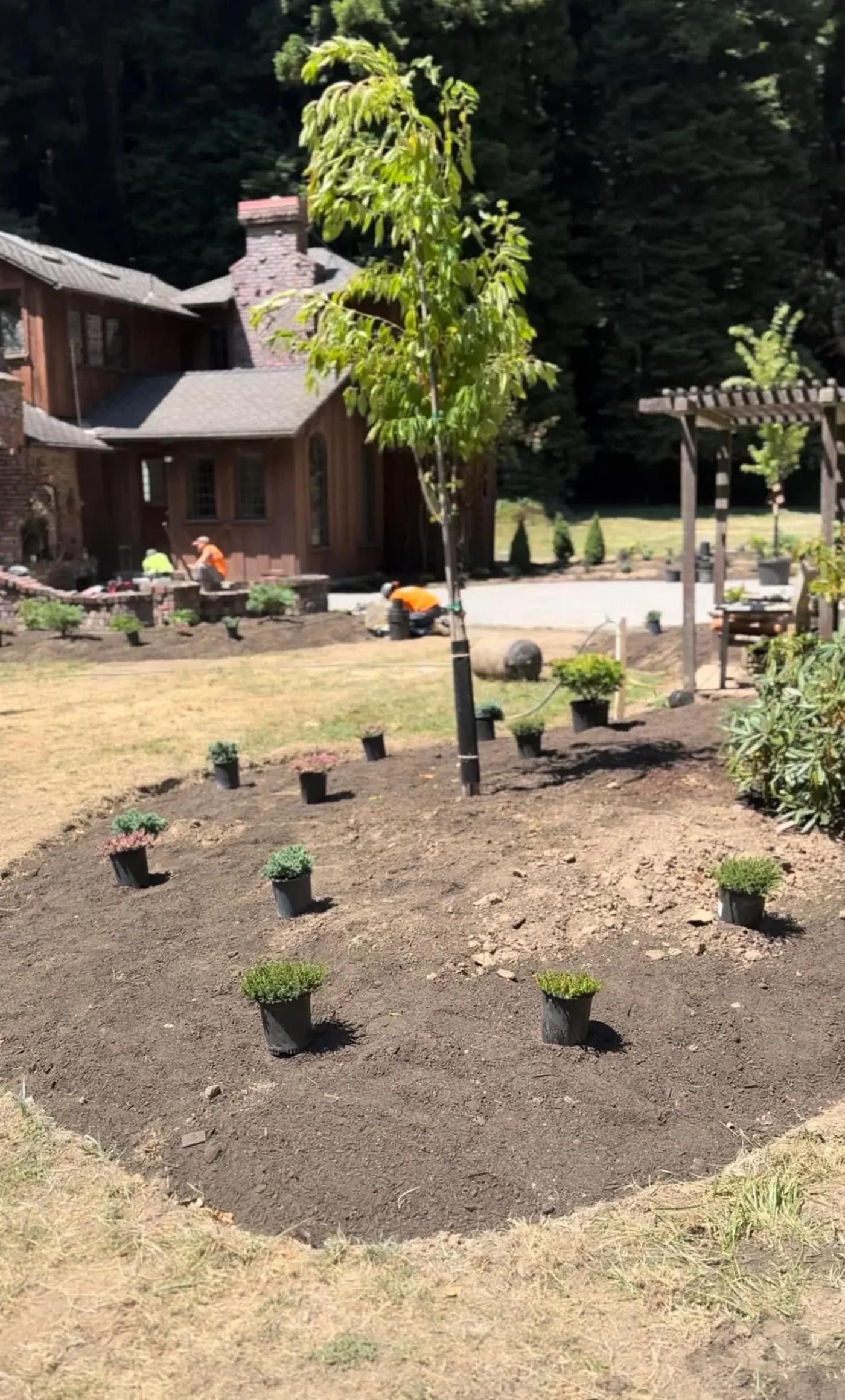 J&G Lawn & Garden Humboldt County landscape project 16, documented by Tex Kelly Productions