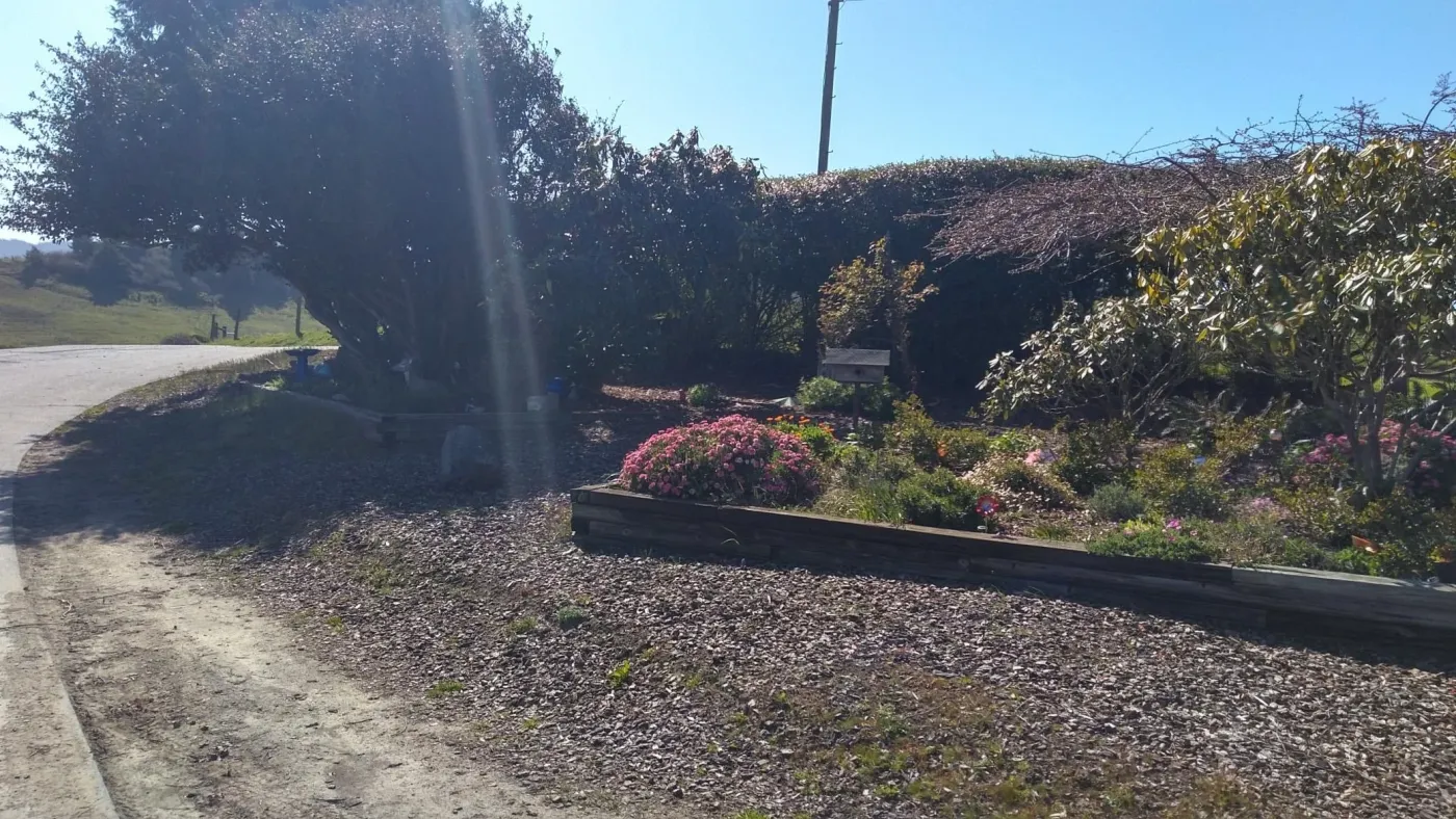 J&G Lawn & Garden Humboldt County landscape project 20, documented by Tex Kelly Productions