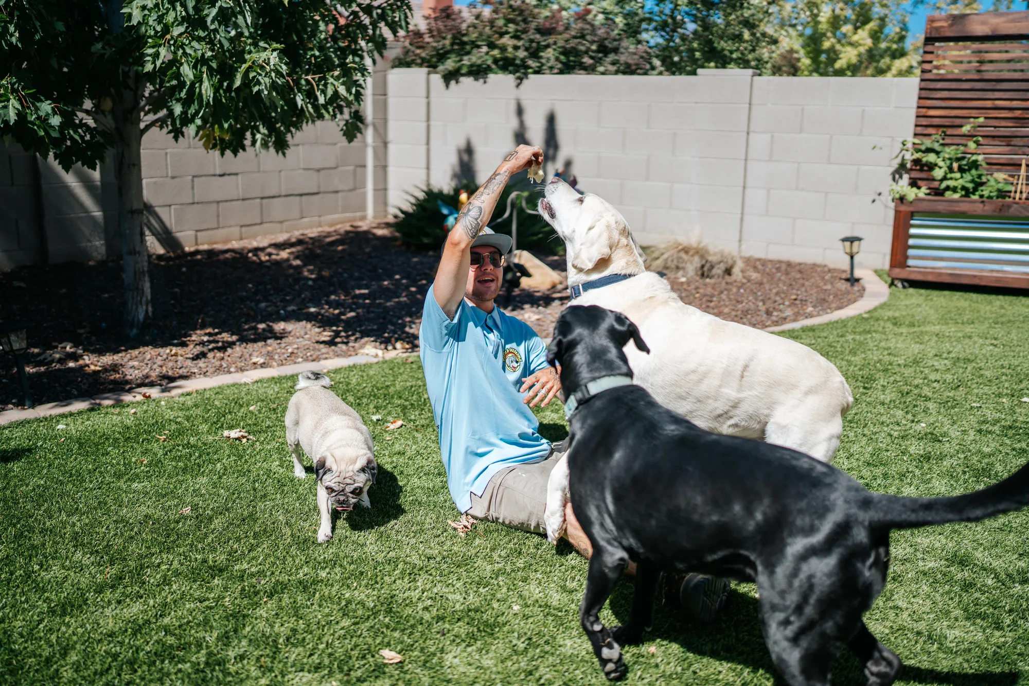 Scoop & Skedaddle technician sitting on the lawn with three dogs crowding in