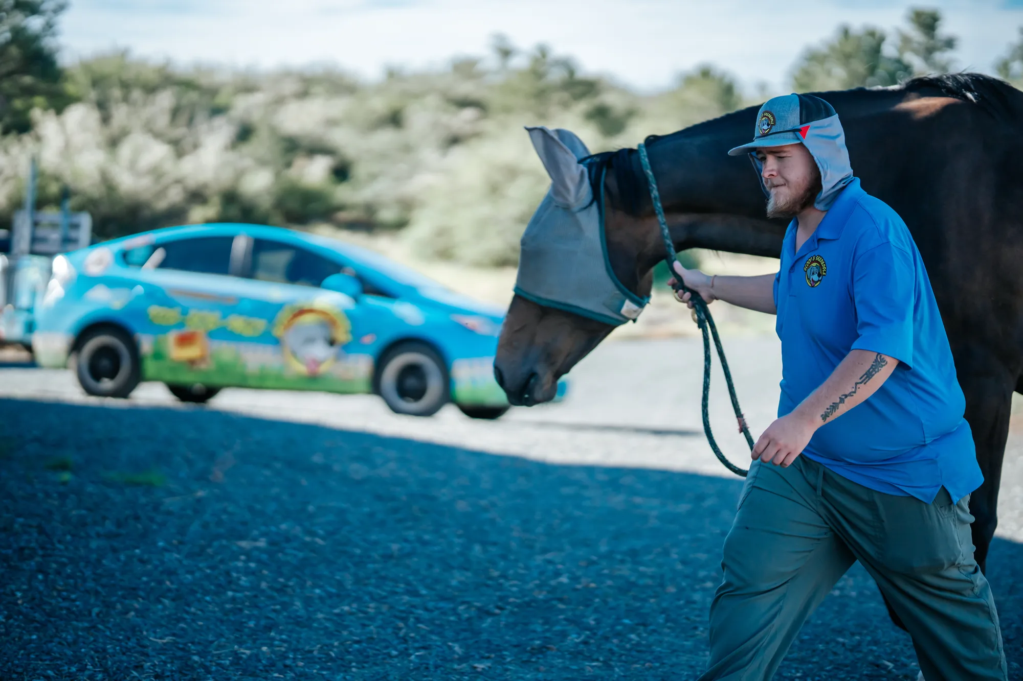 Scoop & Skedaddle team member leading a horse in a fly mask past a wrapped company car