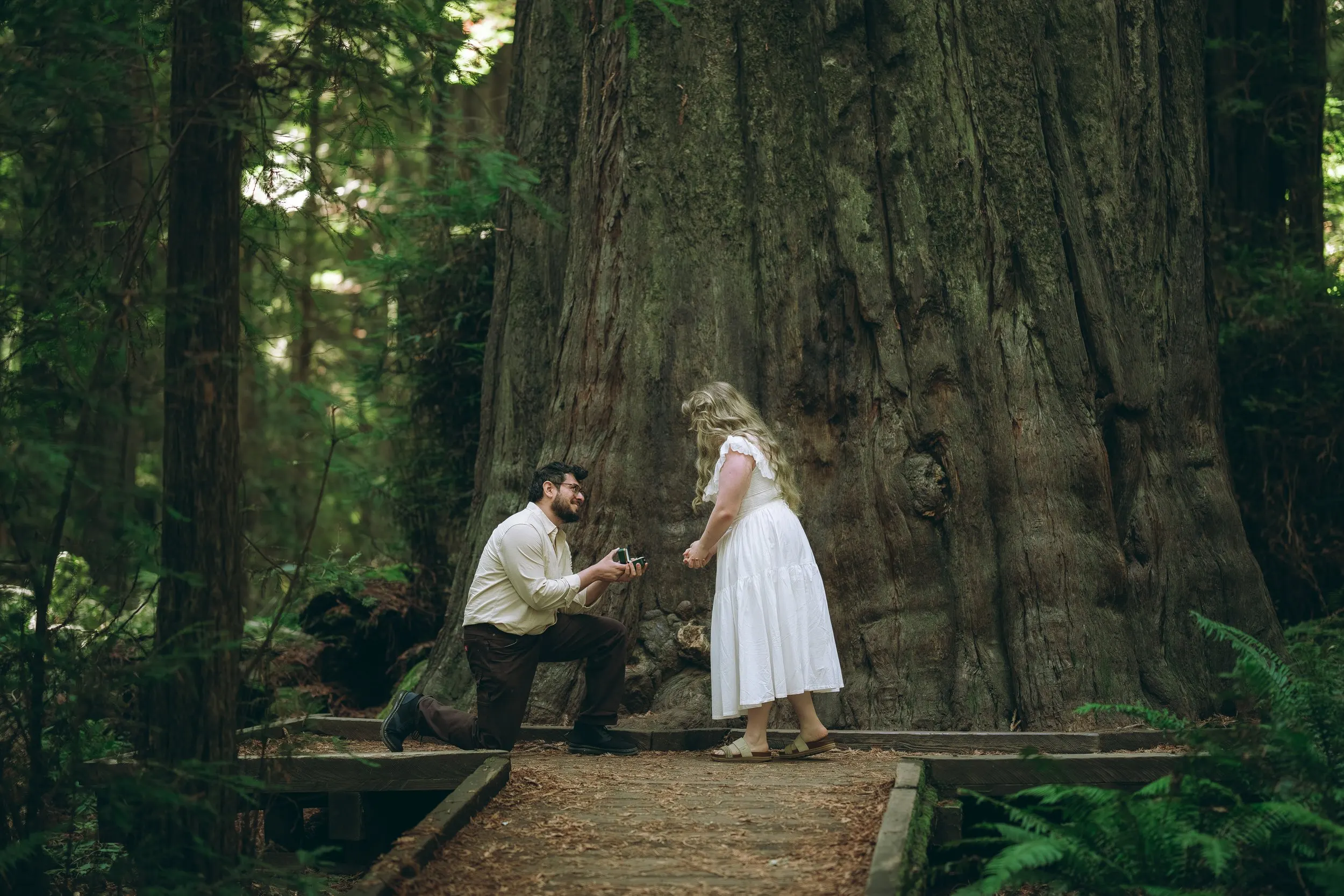 Couple kneeling among the towering trees of Founders Grove