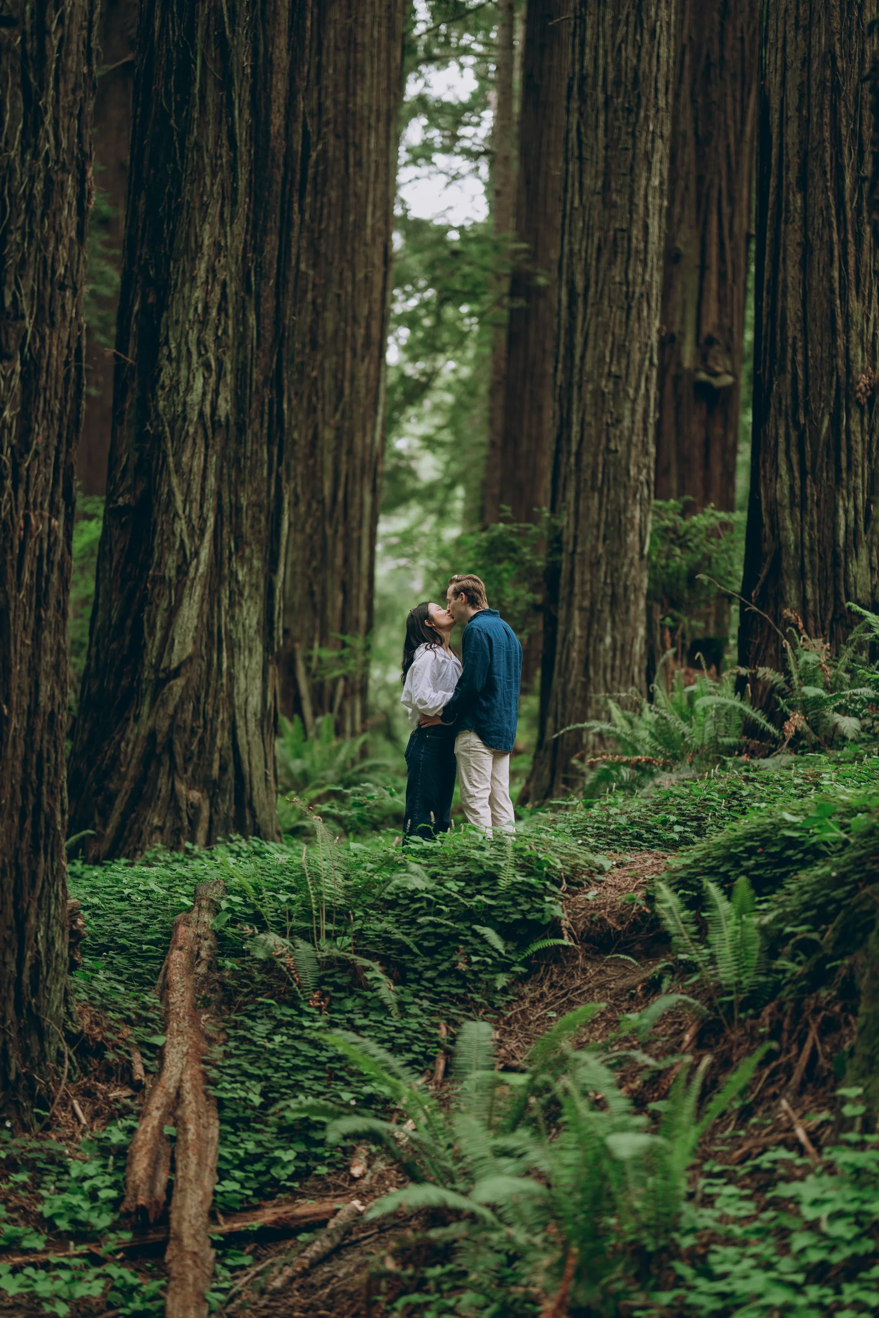 Newly engaged couple kissing in the redwoods just after the proposal