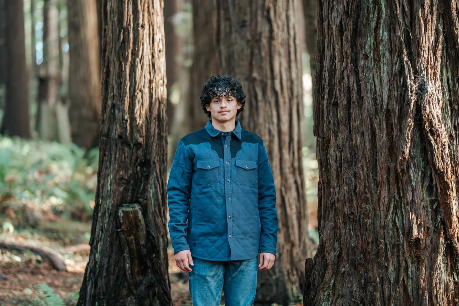 Senior portrait in old-growth redwood grove