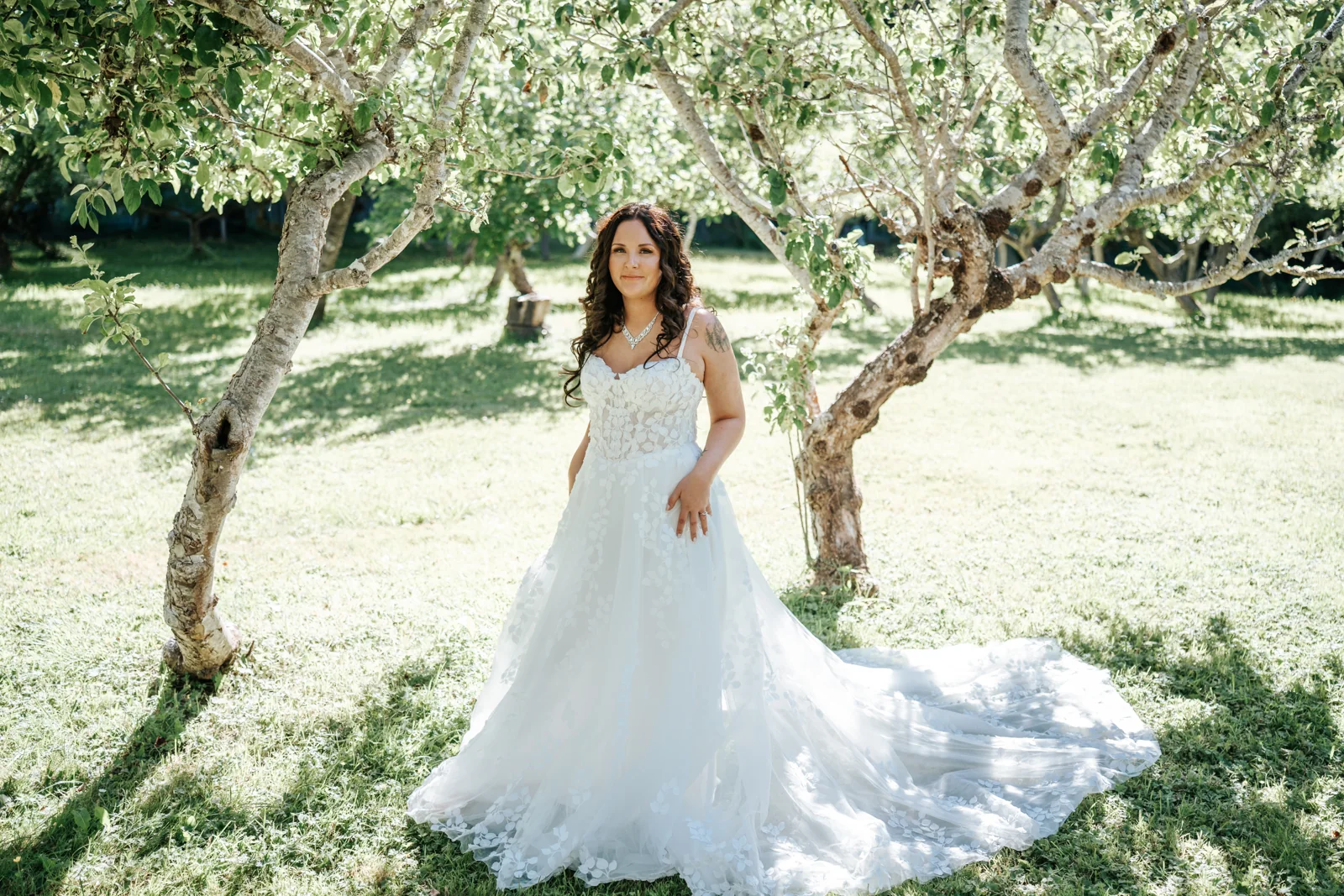Bride in a lace gown standing beneath an old apple tree, her train spread across the grass