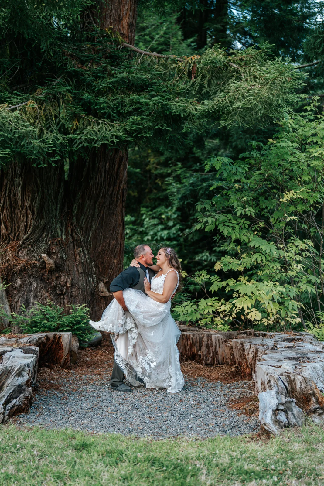 Bride and groom laughing together on a redwood stump beneath a towering redwood