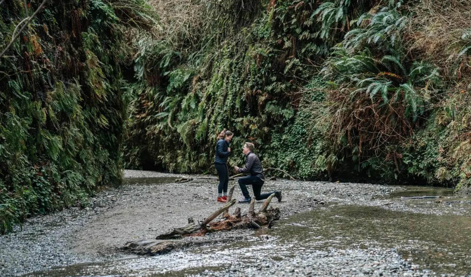 Surprise Proposals & Engagements, Discreet surprise-proposal photography and film, with full logistics handled.