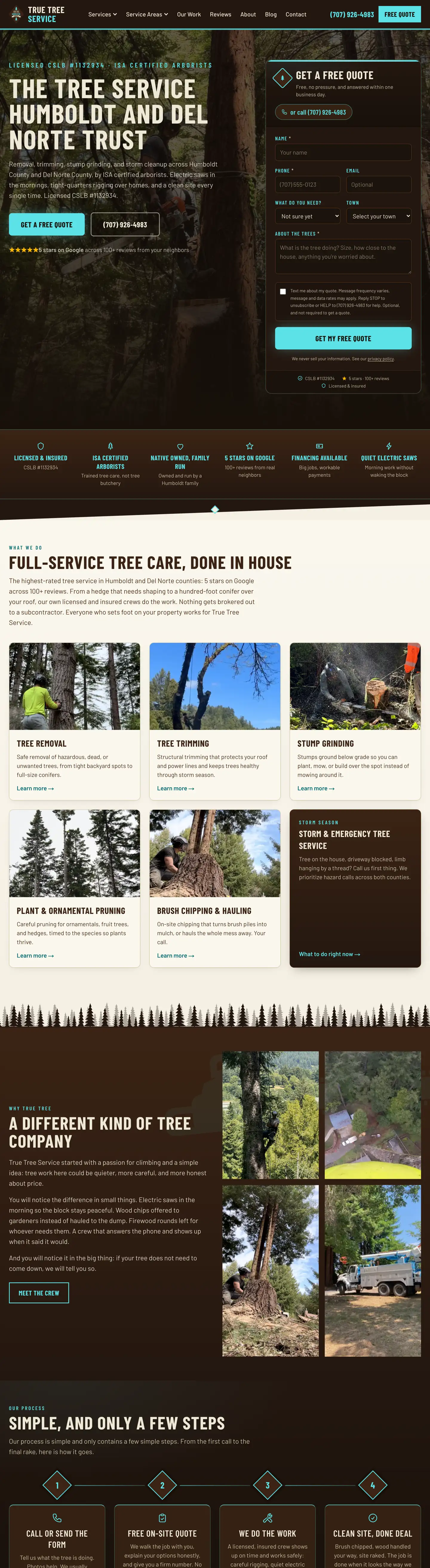 The new True Tree Service website, dark green full-service tree care design with a quote form in the hero and a service grid below